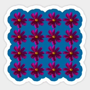Dark Pink Cosmos Flowers Pattern Sticker